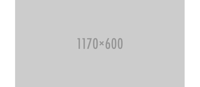 Ipsum cursus vestibulum at interdum Vivamus